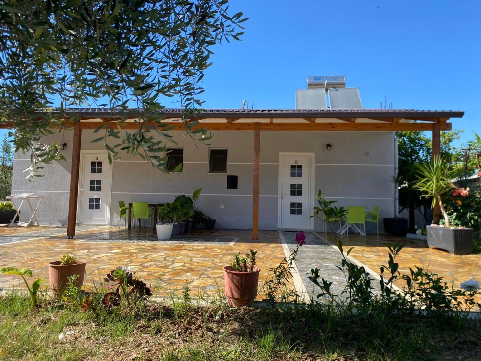 Gray&Oli Studios Vlorë Buitenkant foto